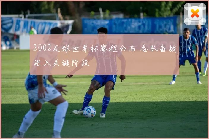 2002足球世界杯赛程公布 各队备战进入关键阶段