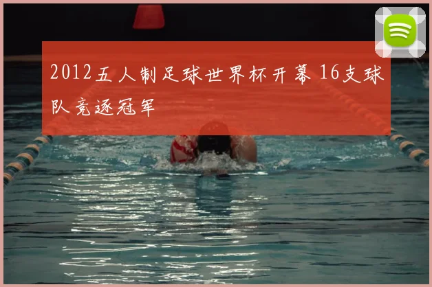 2012五人制足球世界杯开幕 16支球队竞逐冠军