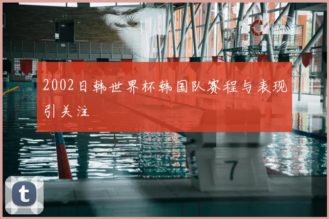 2002日韩世界杯韩国队赛程与表现引关注