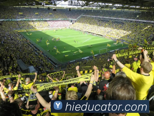 App Interface Preview